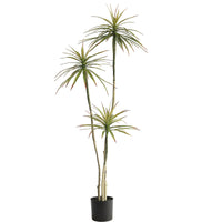 180cm Artificial Yucca