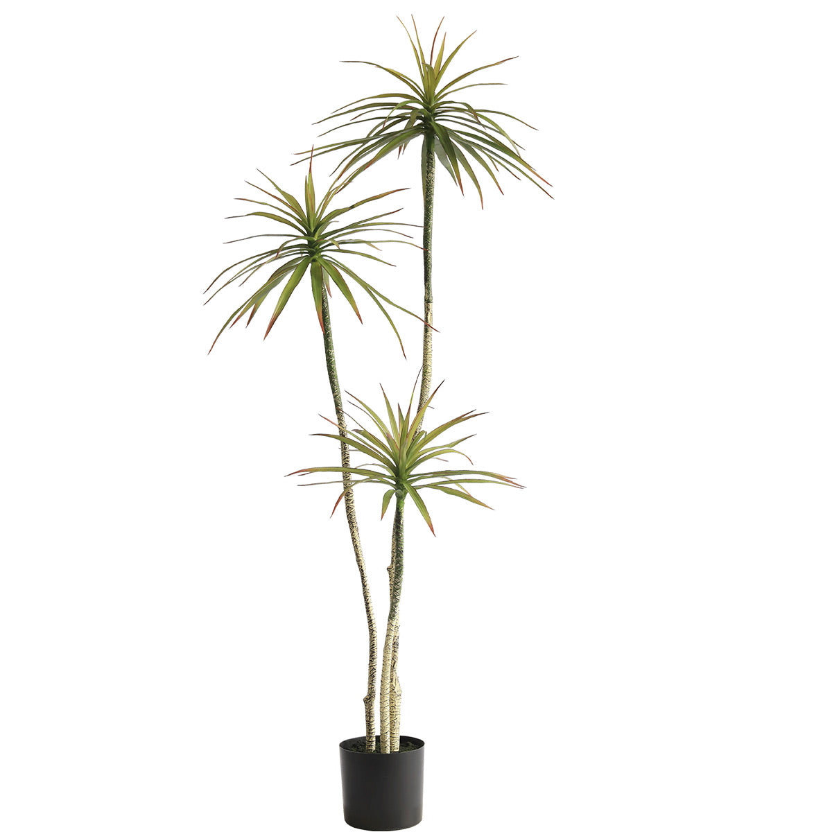 180cm Artificial Yucca