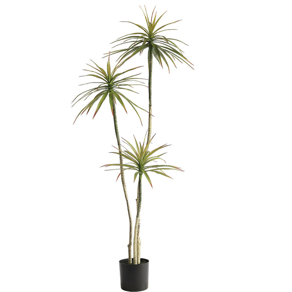 180cm Artificial Yucca
