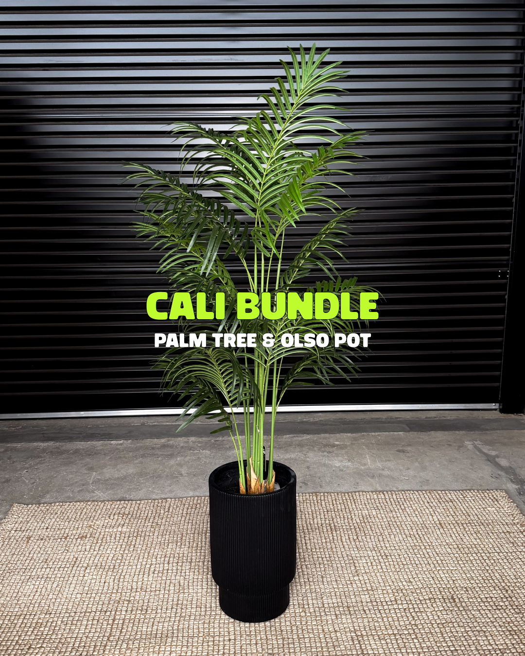 Cali Bundle