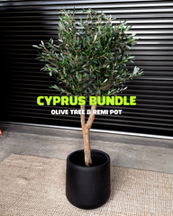 Cyprus Bundle