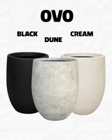 Ovo