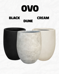 Ovo