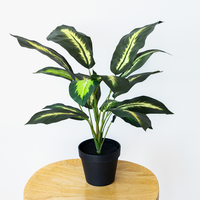 55cm Potted Artificial Small Plant