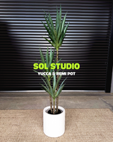 Sol Studio