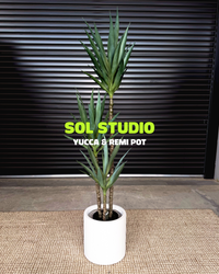 Sol Studio
