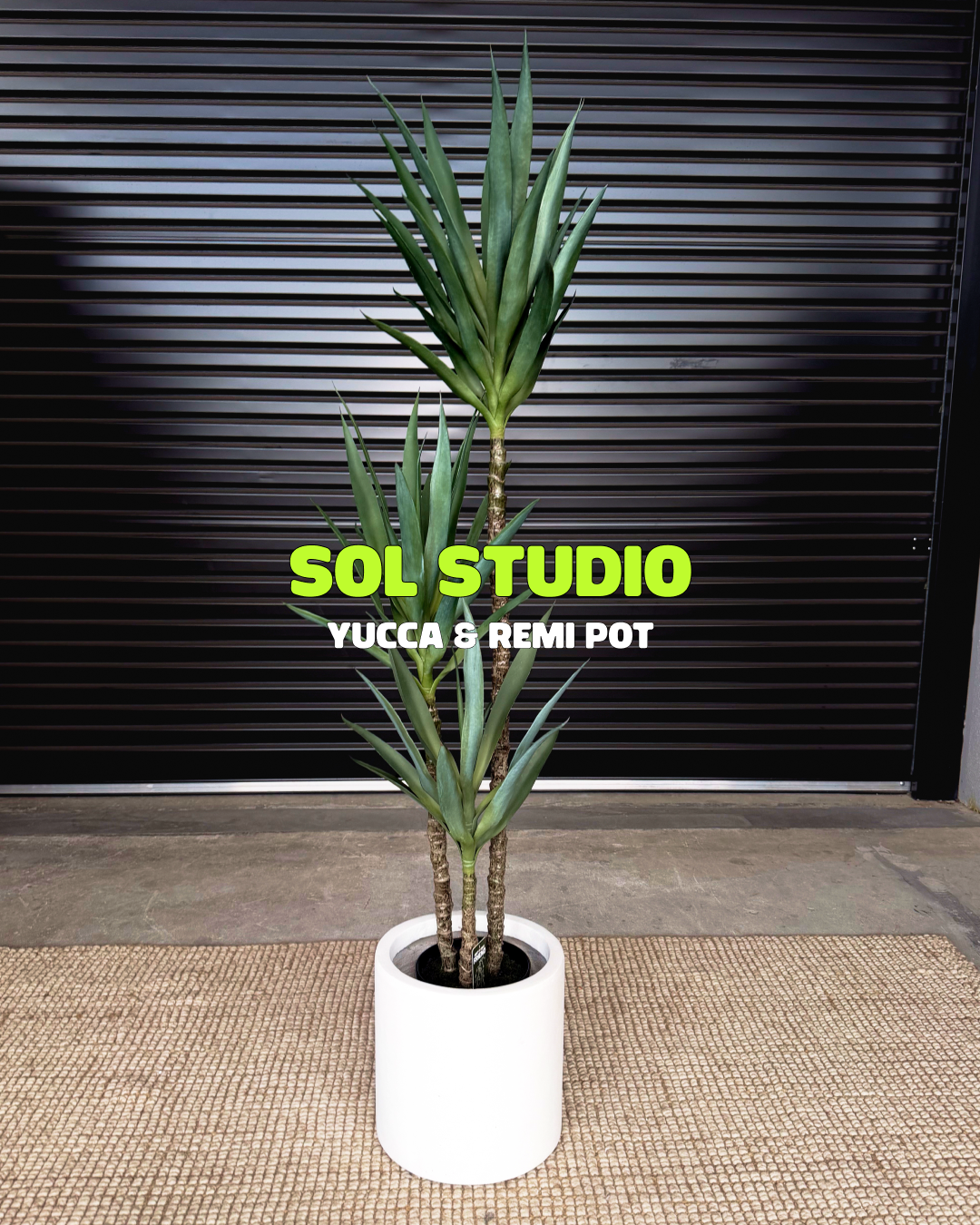 Sol Studio