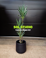 Sol Studio