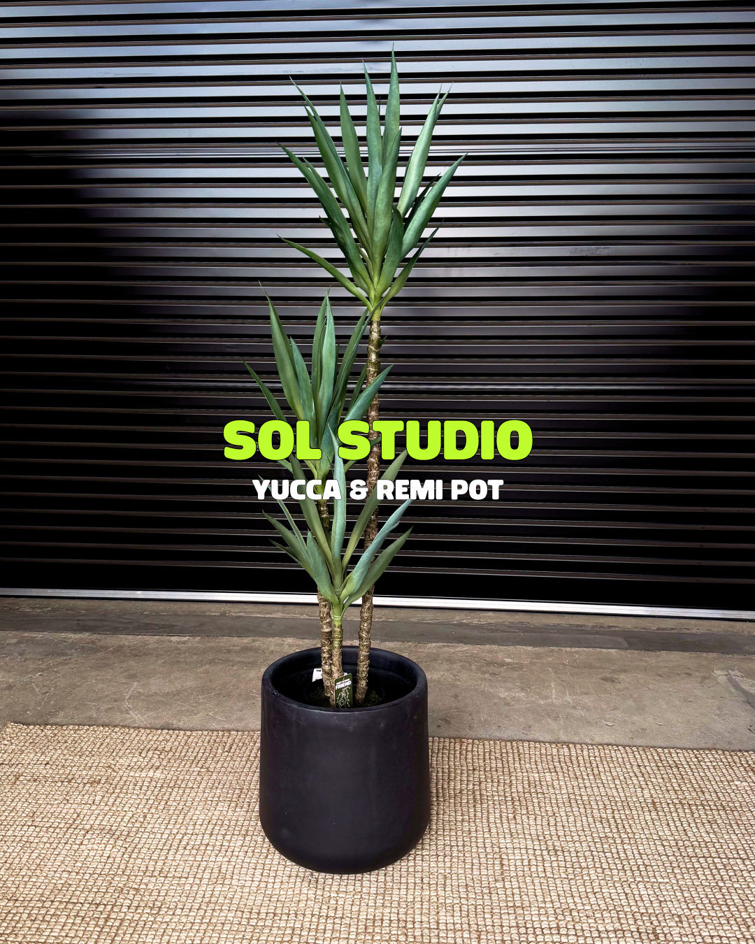Sol Studio