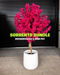 Sorrento Bundle