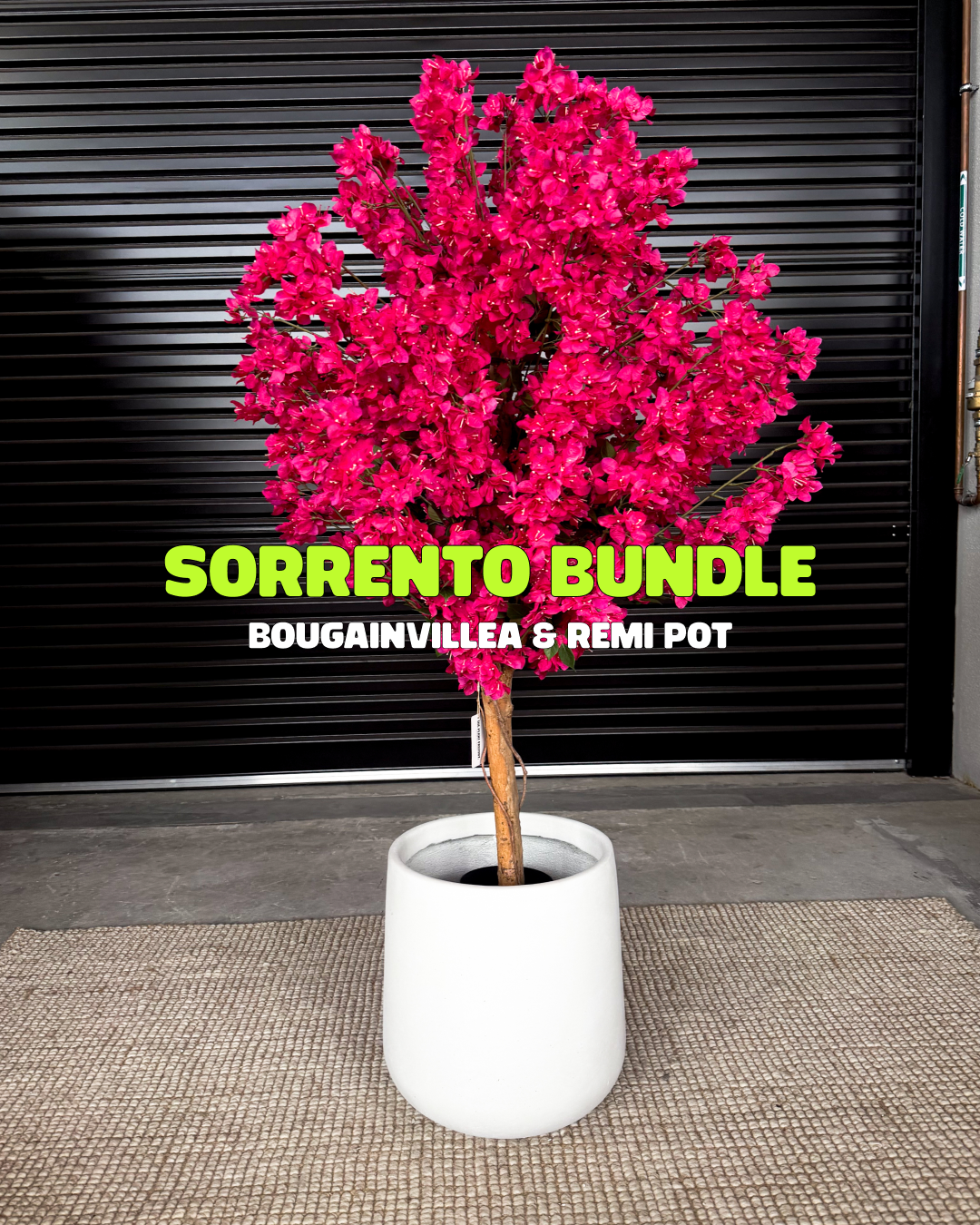 Sorrento Bundle