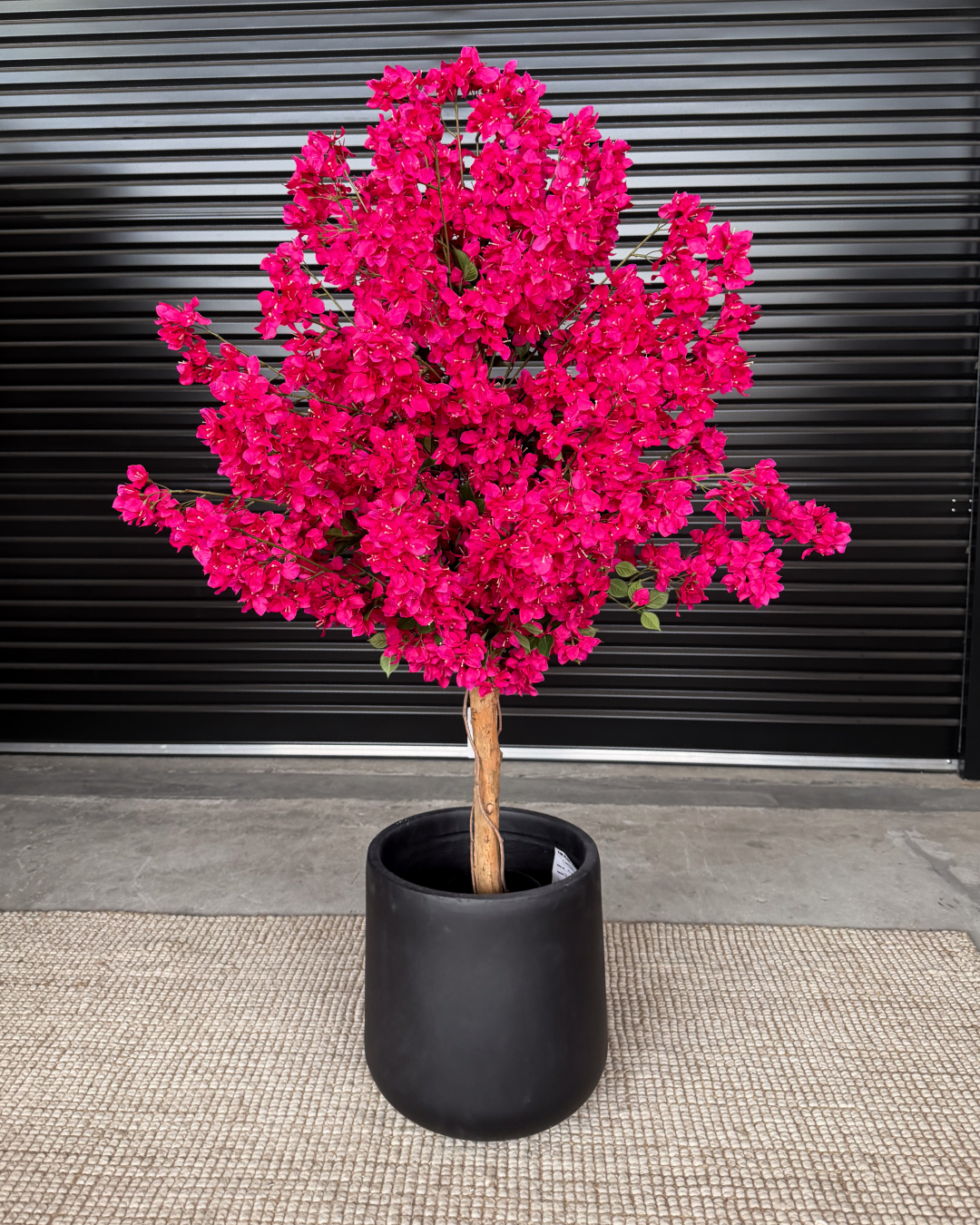Sorrento Bundle