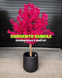 Sorrento Bundle