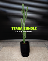 Terra Bundle