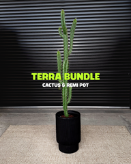 Terra Bundle