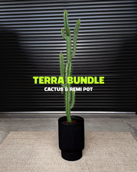 Terra Bundle