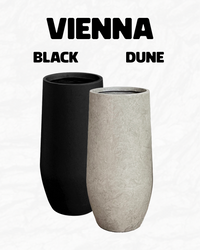Vienna
