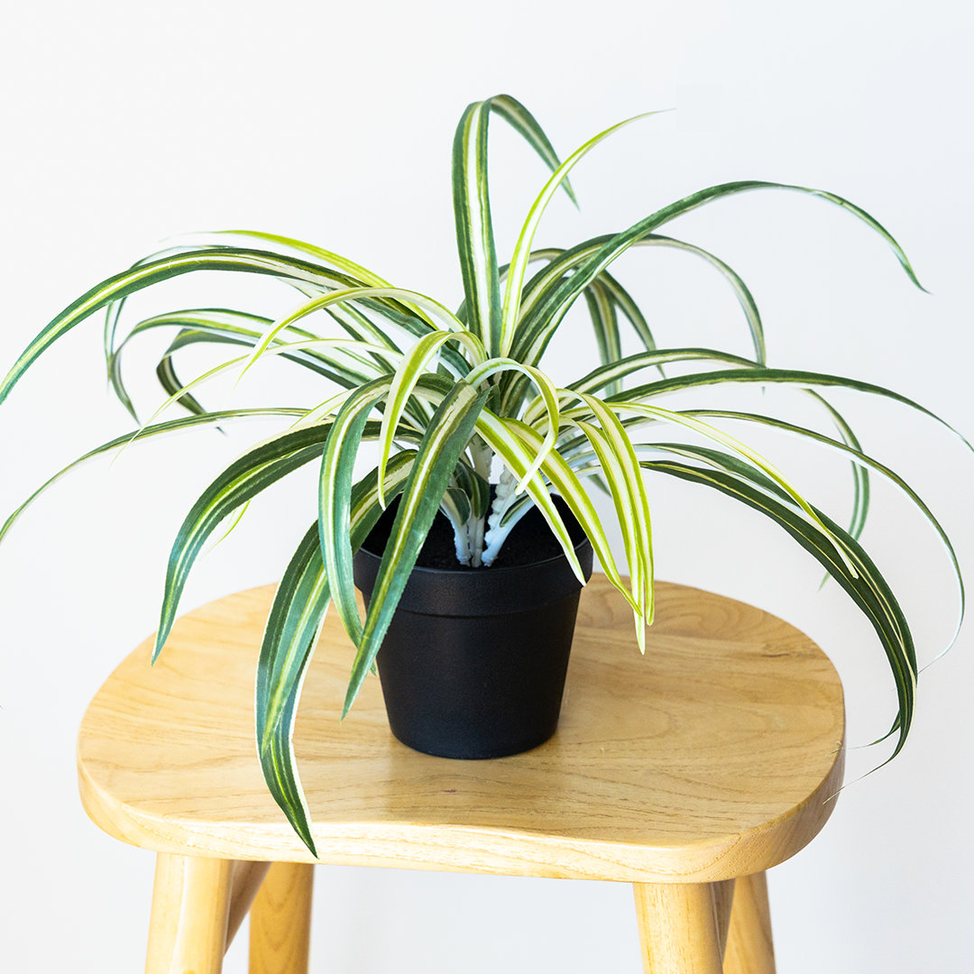 fake spider plants Shop 38Cm Artificial Spider Plant | Small Faux Plant