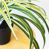 38cm Potted Artificial Spider Plant