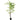 185cm Artificial Elm Tree